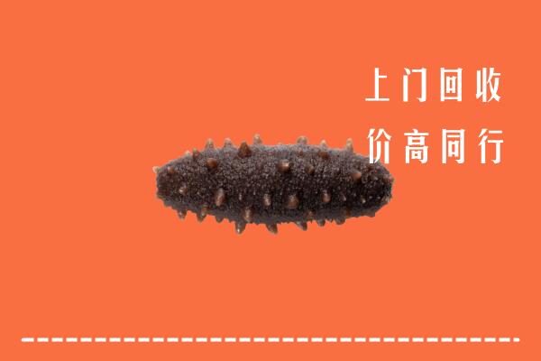 三明市回收海参