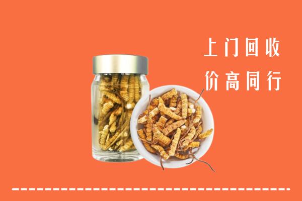 三明市回收冬虫夏草