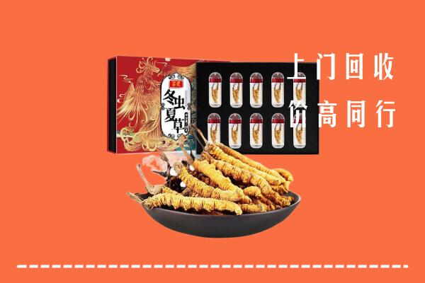 三明市回收虫草